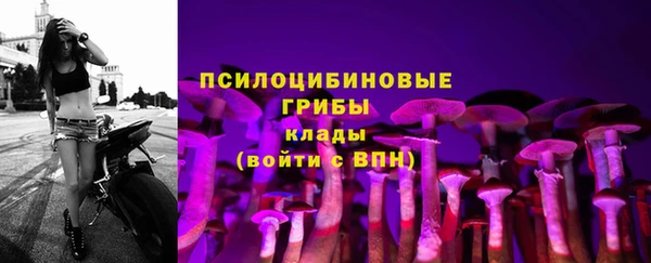 первитин Алексеевка