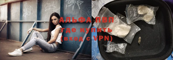 гашик Алзамай