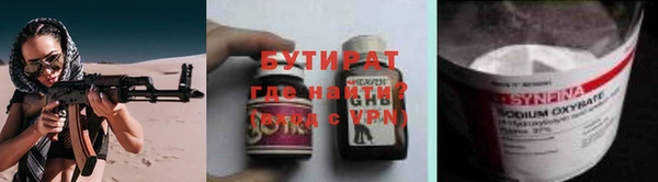 гашик Алексин