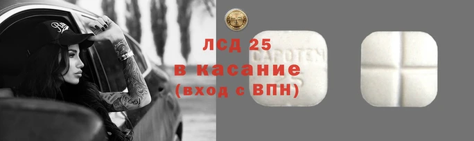 гашик Алексин