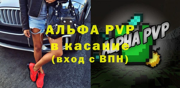гашик Алексин