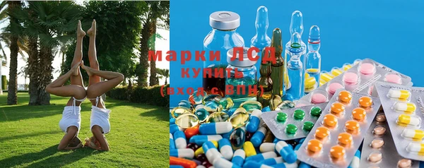 гашик Алзамай