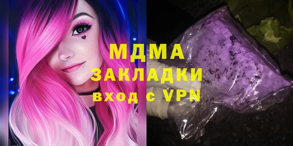 гашик Алексин