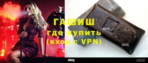 гашик Алексин
