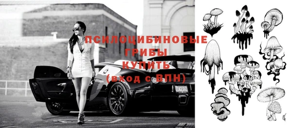 гашик Алзамай