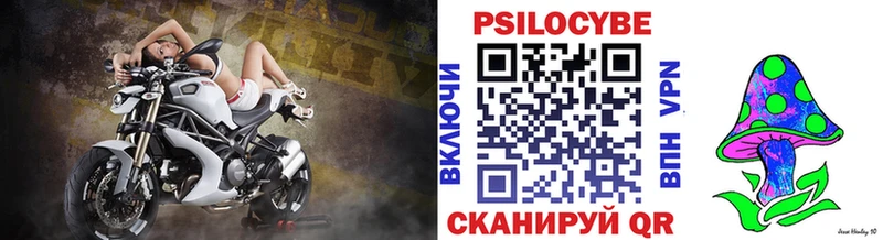 Псилоцибиновые грибы GOLDEN TEACHER  Катайск 